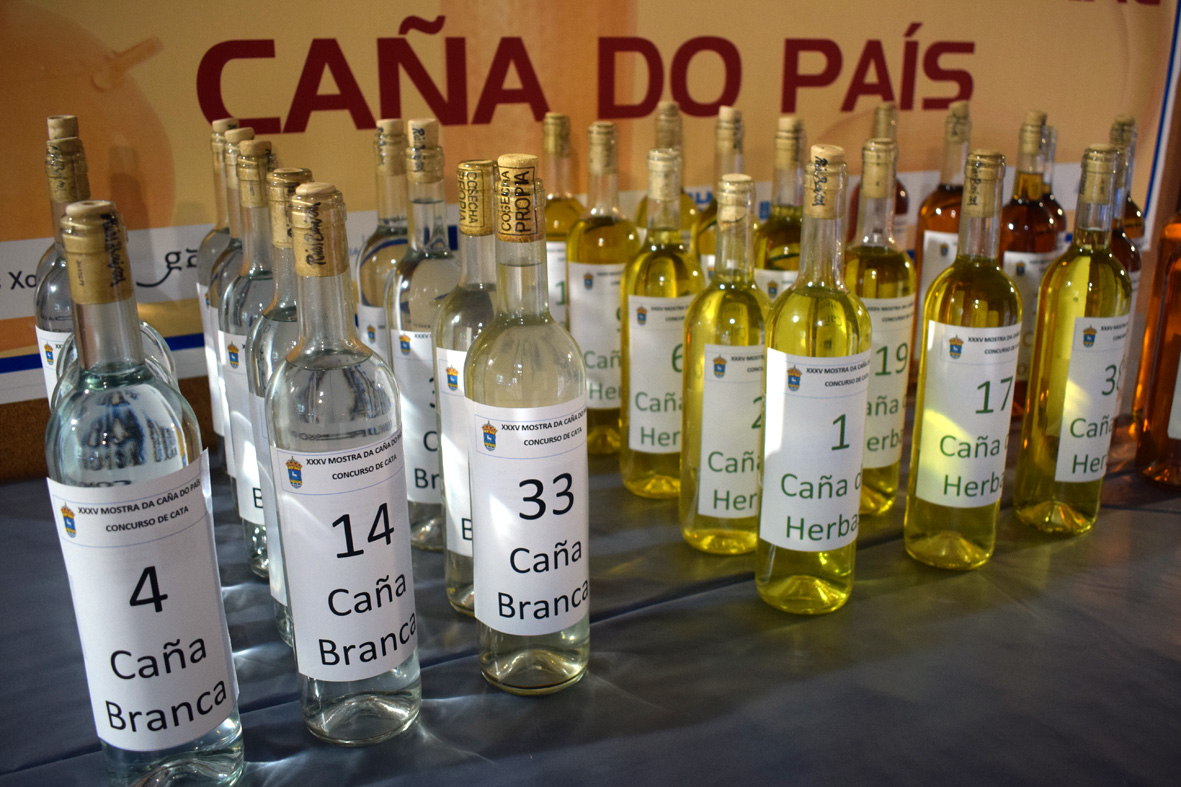 PrecataCaña25 2