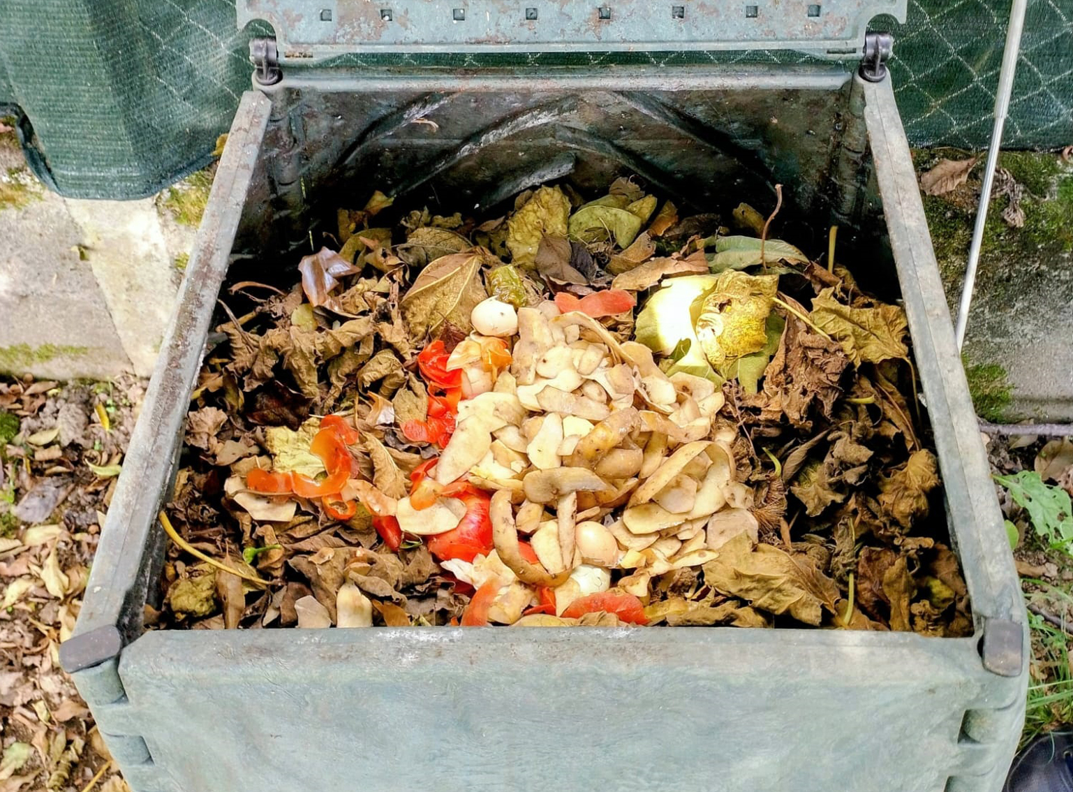 VisitasComposteiros1